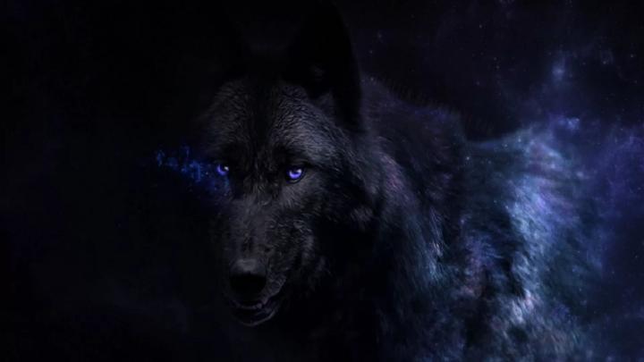 Black Wolf Over 1080 X 1080 \/ Black Wolf Over 1080 X 1080 - Black Wolf 