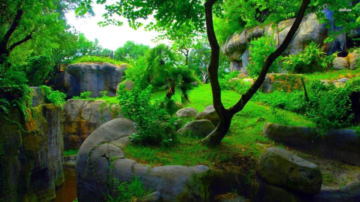 Nature Wallpapers 1366X768 (68+ background pictures)