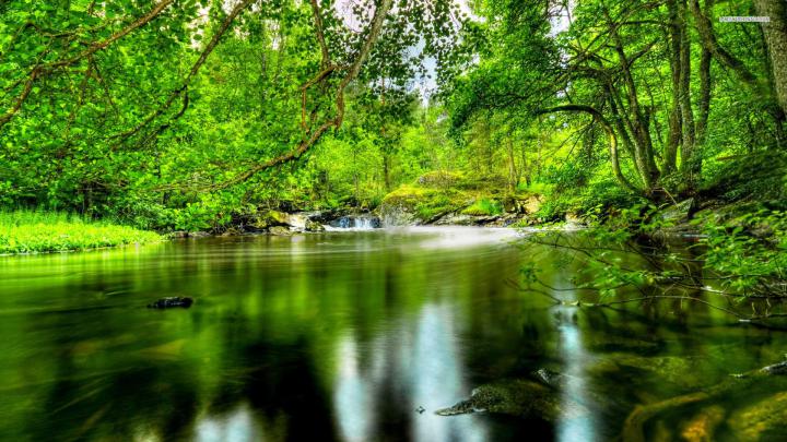 Nature Desktop Wallpapers Backgrounds (65+ images)