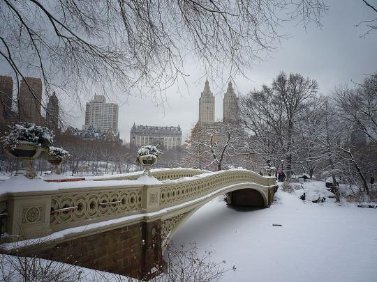 Winter in Central Park New York Wallpapers - Top Free Winter in Central 