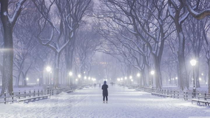 Winter in Central Park New York Wallpapers - Top Free Winter in Central 