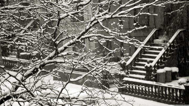 New York Winter Wallpapers