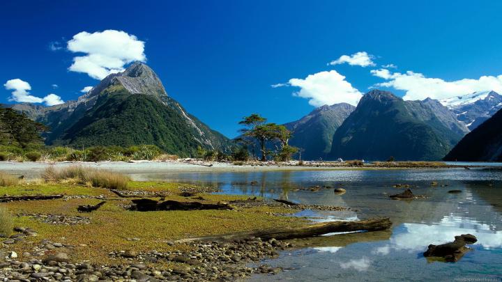 [74+] New Zealand Desktop Wallpaper 