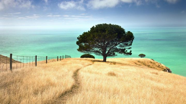 New Zealand Desktop Wallpapers - Top Free New Zealand Desktop 