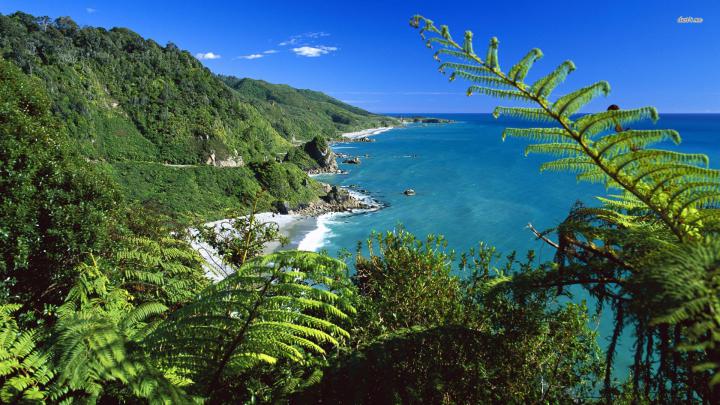 [44+] New Zealand Beach Wallpaper 
