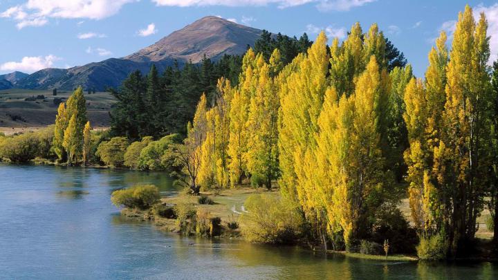 world islands new zealand south 1920x1080 wallpaper High Quality 