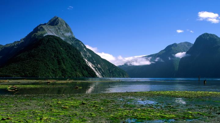 [74+] New Zealand Desktop Wallpaper 