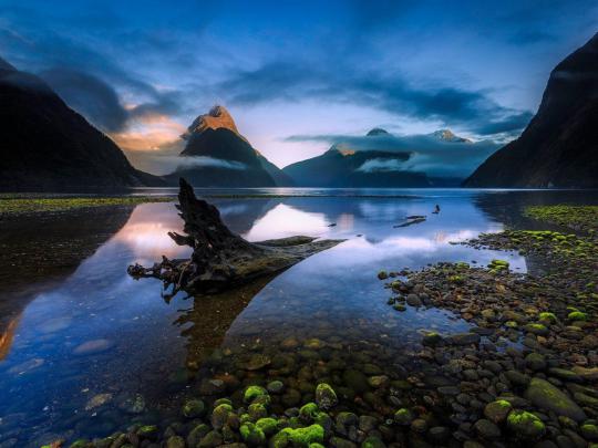 [74+] New Zealand Desktop Wallpaper 