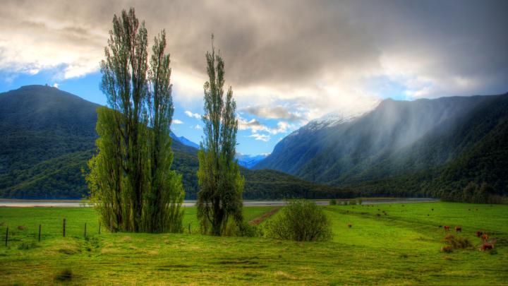 New Zealand Wallpapers