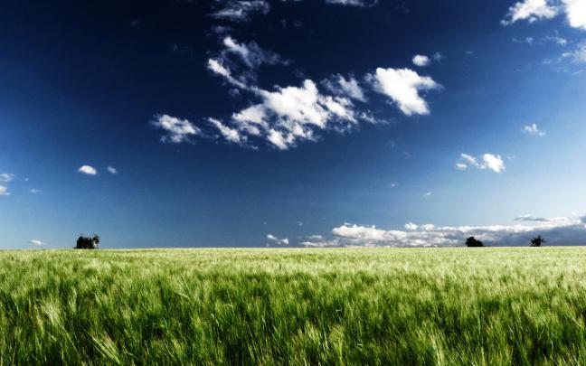 New Zealand Wallpapers