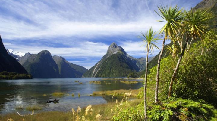 Sunrise Milford Sound Queenstown New Zealand Hd Wallpapers 1920x1080 