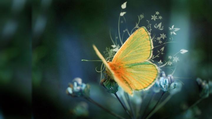 Nice Wallpaper (67+ pictures)