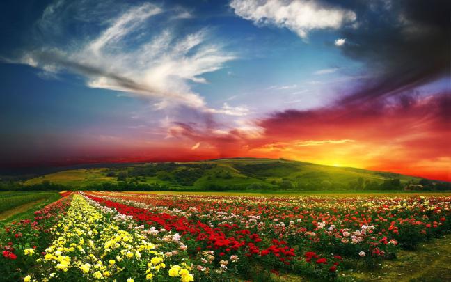 Nice Wallpapers Images (65+ images)