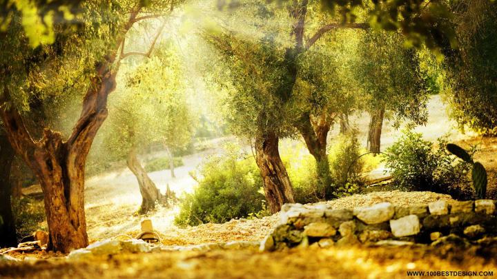 Nice Pictures for Desktop Background (73+ images)