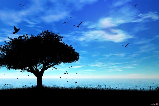 Nice Picture For Desktop Background (57+ images)