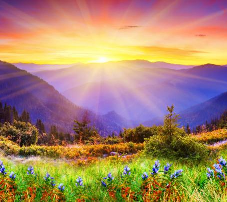 HD Wallpapers for Tablets (62+ images)