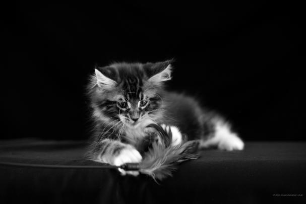 HD Wallpapers for Tablets (62+ images)