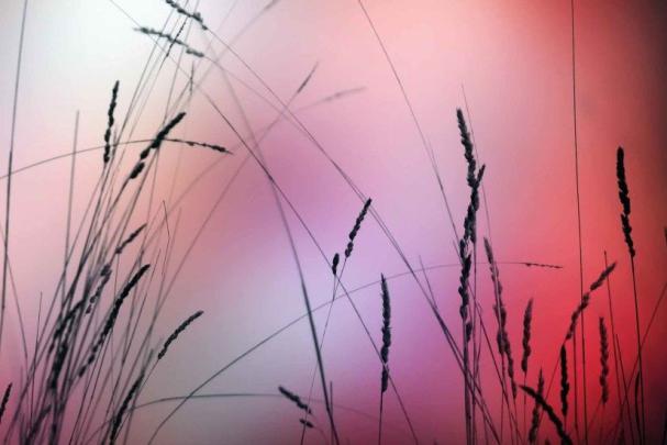 Nice Background Pictures \u00b7\u2460 