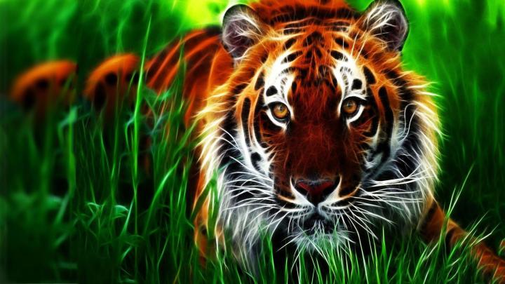 4k Hd Wallpaper - Wallpaper HD
