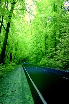 Green Hd Wallpaper For Mobile - 2018 Hd Wallpapers 1080p (#1055976 