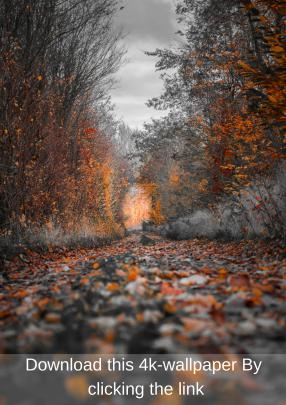 4K Mobile Wallpaper Free Download #2 | Background hd wallpaper, Photo 