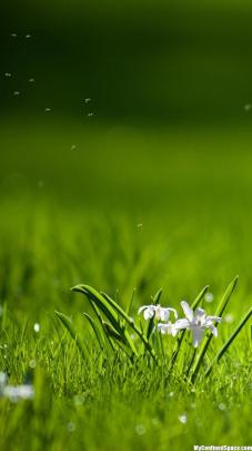 Full Hd Wallpapers 1920x1080 For Iphone