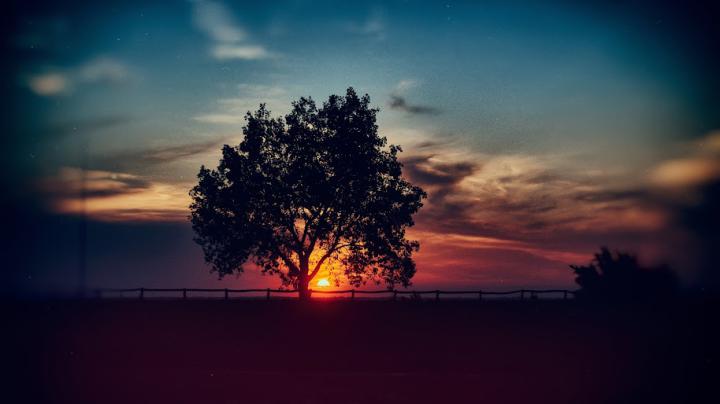 Ultra Hd Wallpapers 8k 7680x4320 For Mobile | HD Wallpaper For Desktop 