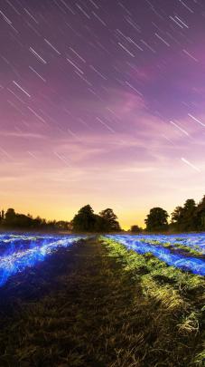 4k Ultra Hd Hd Wallpaper 4k For Mobile 1920x1080 Download - Download 