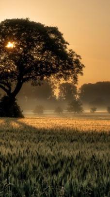 21++ Wallpaper Nature Ultra Hd 8k - Basty Wallpaper