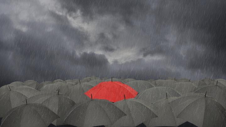 Umbrella Full HD Wallpaper and Background Image | 1920x1080 | 214535