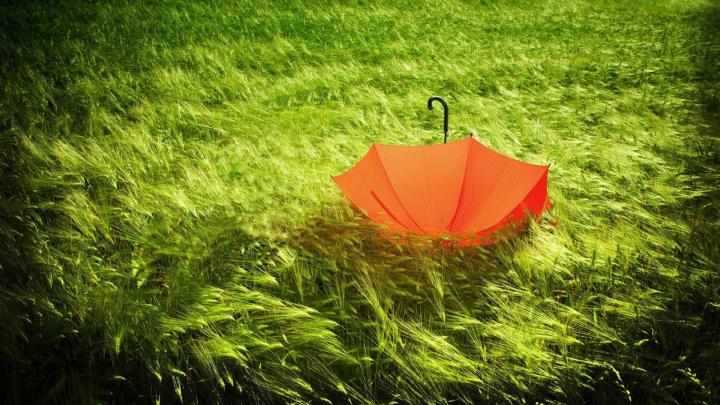 Rain Umbrella Wallpapers - Top Free Rain Umbrella Backgrounds 