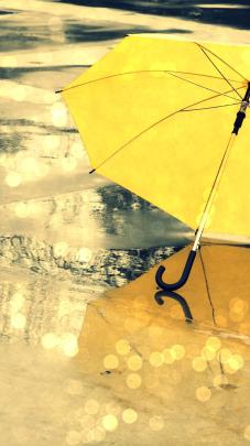 Yellow Umbrella Wallpapers - Top Free Yellow Umbrella Backgrounds 