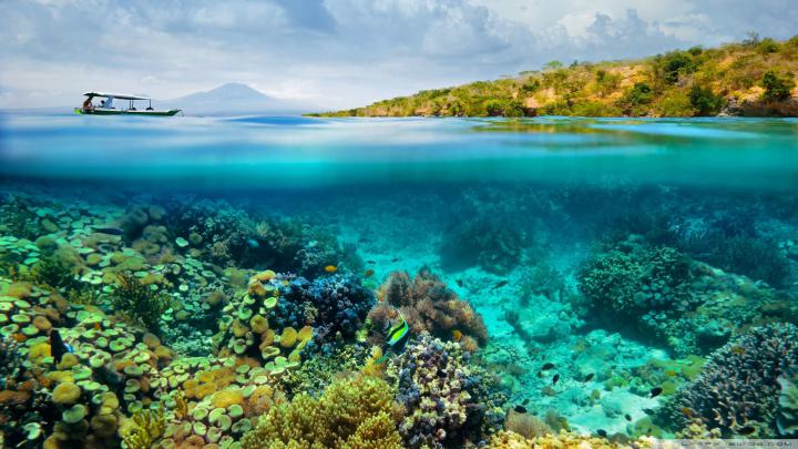 Underwater HD Wallpapers 1920x1080 (79+ images)
