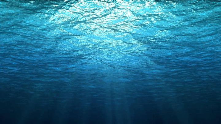 Undersea Wallpapers for Desktop (69+ images)