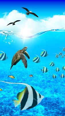 Ocean Animals Wallpaper (52+ images)