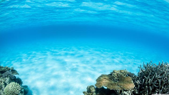 HD Underwater Wallpapers - Top Free HD Underwater Backgrounds 