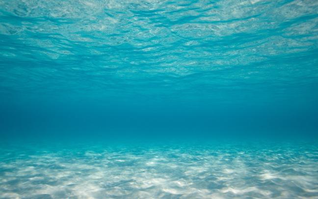 Underwater Backgrounds -