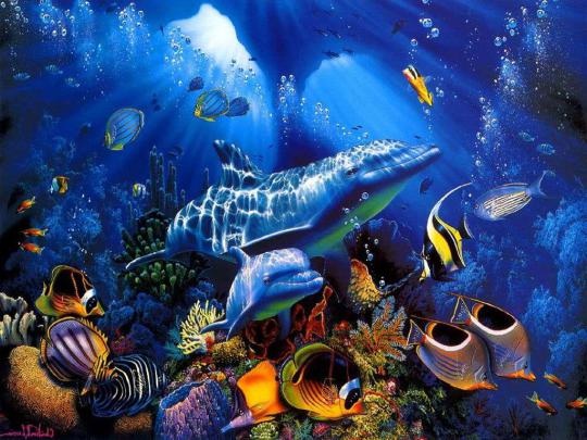 Moving Underwater Wallpaper -