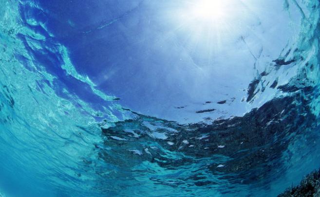 Undersea Wallpapers for Desktop (69+ images)