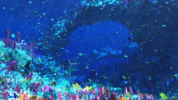 Underwater HD Wallpapers 1920x1080 (79+ images)
