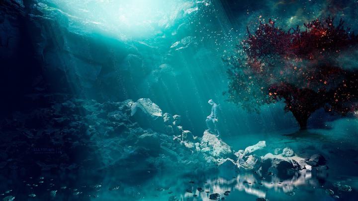 Underwater Wallpapers (70+ pictures)