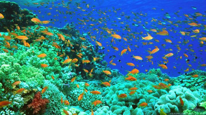 1920x1080 Ocean Wallpaper (76+ images)