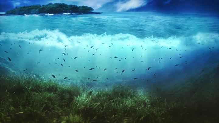 Underwater Wallpaper Download Free