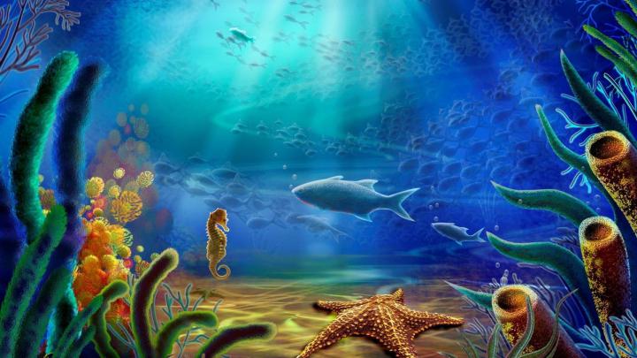 Free Under The Ocean Wallpaper | Underwater wallpaper, Underwater 