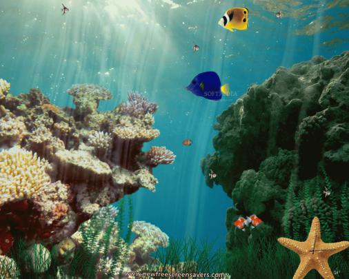 [47+] Moving Underwater Wallpaper 