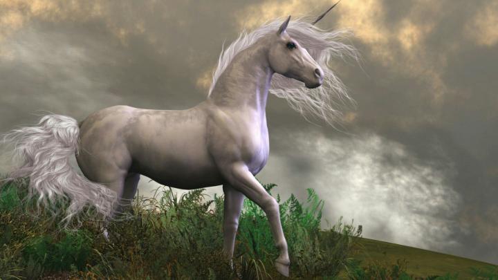 Real Unicorn Wallpapers - Top Free Real Unicorn Backgrounds 