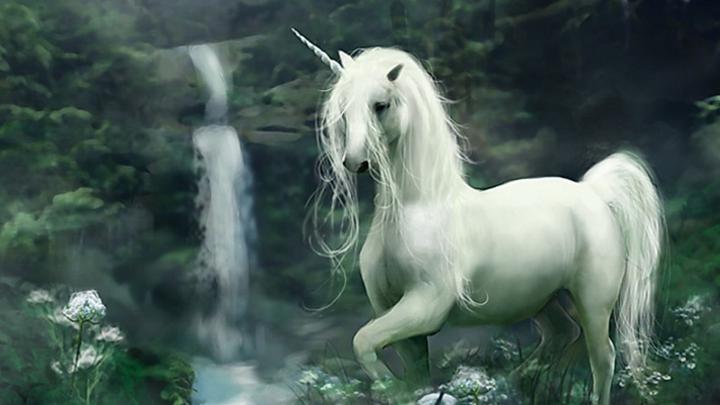 Fantasy Unicorn Wallpapers (67+ background pictures)