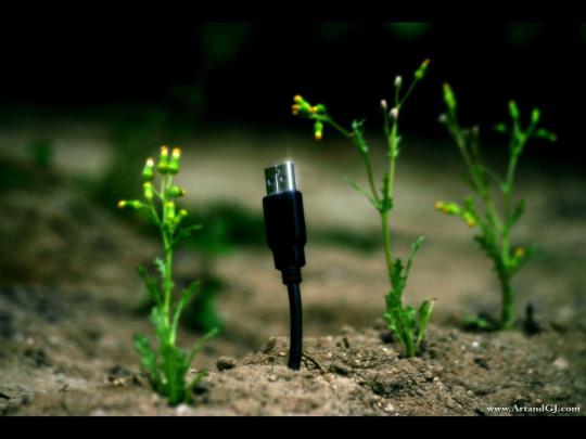 Uncommon Desktop Wallpaper -