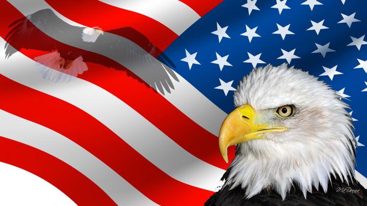 American Flag With Eagle Wallpaper (70+ images)
