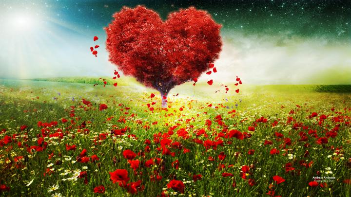 Valentines Day Love Heart Tree Landscape HD Wallpapers | HD Wallpapers 
